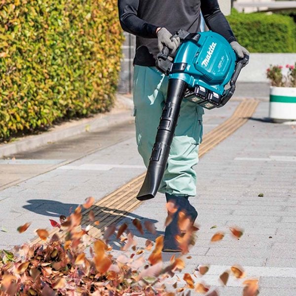 1019911__4 1019911__4