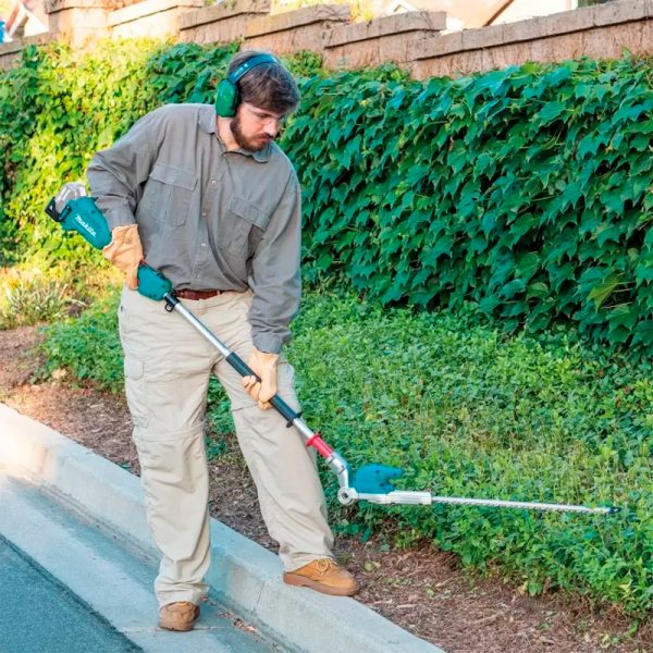 1019915__4 1019915__4