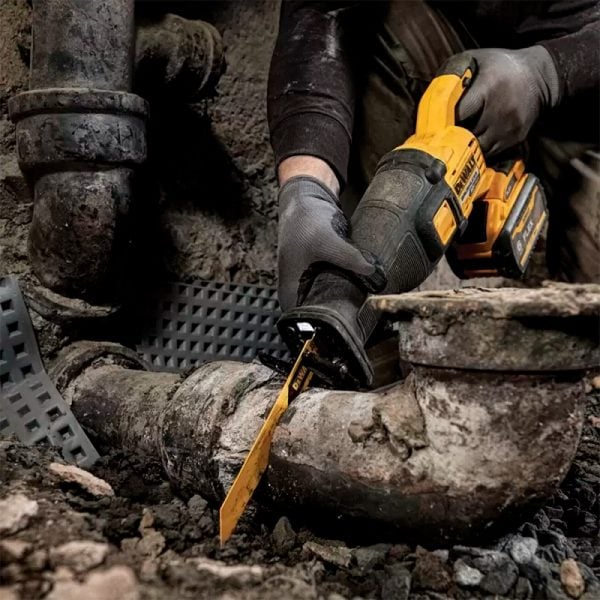 1019980__4 1019980__4