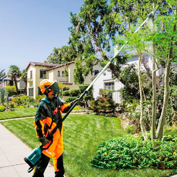 1020453__2 1020453__2