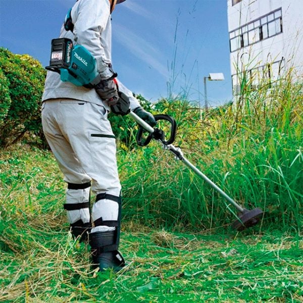 1020461__2 1020461__2