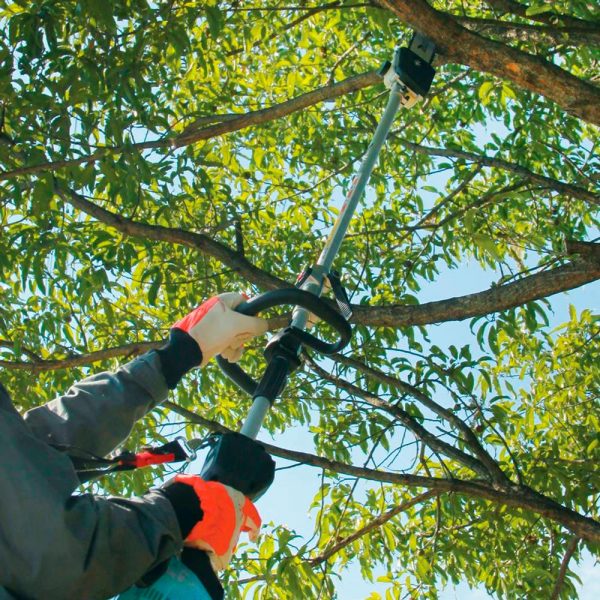 1020461__3 1020461__3