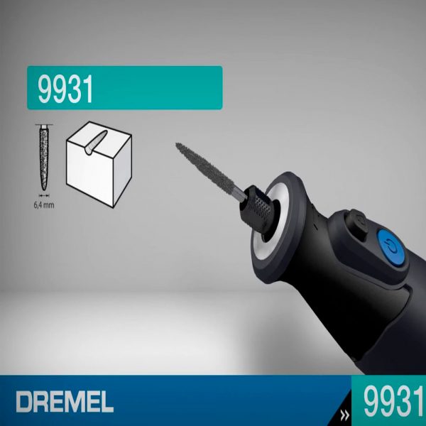 DR000021__3