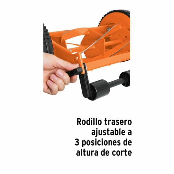 DW5Xate6tg-1012655_4.jpg