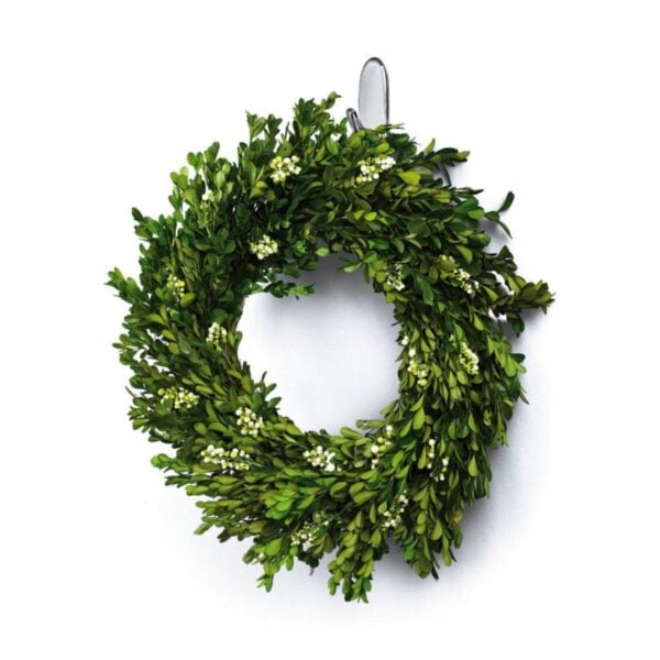 caoWnl1PCy-1013156_4.jpg caoWnl1PCy-1013156_4.jpg