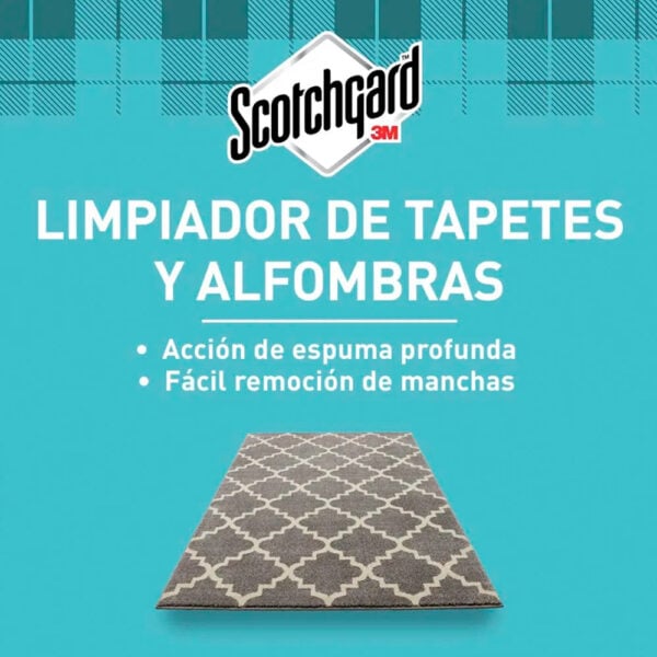 kdUJJ6TUo-1012919_5.jpg kdUJJ6TUo-1012919_5.jpg