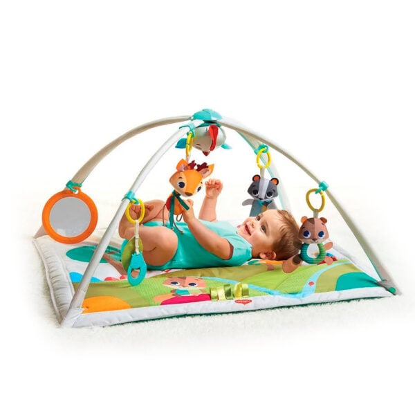 o3GeFp5RE-COM00135.jpg o3GeFp5RE-COM00135.jpg