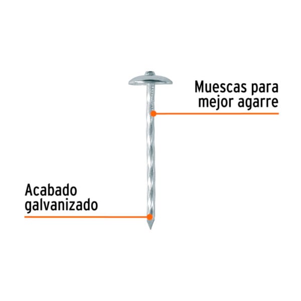 hwQRNwt1T-11019299_2.jpg
