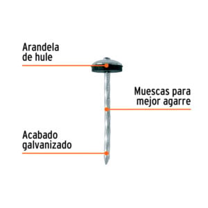 lhlWFLQ0_-11019300_2.jpg