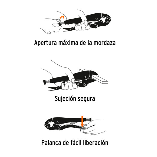 2ujbDh53l-11018888_4.jpg