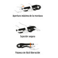 5iUNO2a8a-11018901_2.jpg