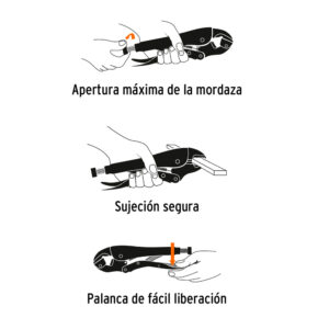 5iUNO2a8a-11018901_2.jpg